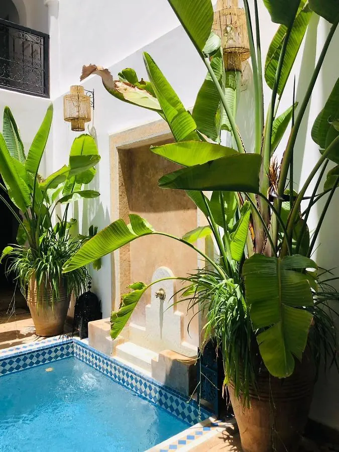 Riad Baba Ali Marrakesh